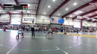 106 lbs Champ. Round 1 - Vander Tran, Centennial vs Uriah Brady, Douglas