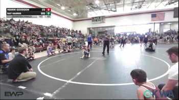 43 lbs Quarterfinal - Henrik Goodgion, Chandler Takedown Club vs Ray Harris, Rough Riders