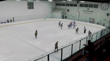Replay: Home - 2025 Hky Path Elite vs TSH Selects | Jul 11 @ 7 PM