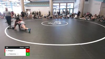 126 lbs Cons. Round 4 - Javian Palomino, The Snake Pit vs Cael Staggs, Nevada Elite