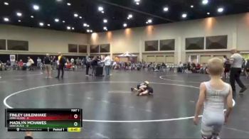 40 lbs Finals (2 Team) - Madilyn McHawes, Iowa Black vs Finley Uhlenhake, Iowa Silver