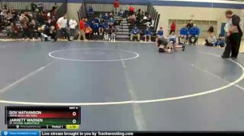 138 lbs Champ. Round 2 - Jarrett Wadsen, St. Michael-Albertville vs Dov Nathanson, White Bear Lake Area