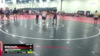 175 lbs Semis & 1st Wrestleback (8 Team) - Bruno Pallone, Team Montana Sidney vs Trentyn Huskisson, Hawkstyle Elite