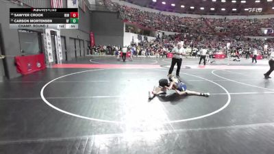 79 lbs Champ. Round 2 - Sawyer Crook, RT Elite Wrestling vs Carson Mortensen, River Falls