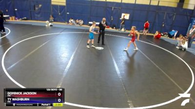 86 lbs Semifinal - Dominick Jackson, MN vs Ty Washburn, MN