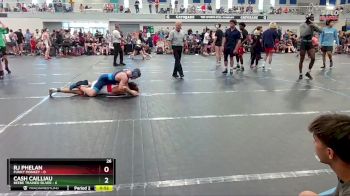 106 lbs Round 3 (6 Team) - Rj Phelan, Funky Monkey vs Cash Cailliau, Beebe Trained Silver