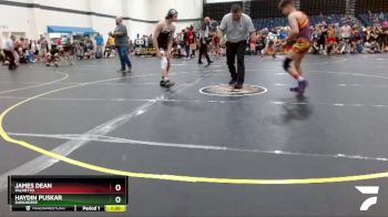 117 lbs Quarterfinal - James Dean, Palmetto vs Haydin Puskar, Darkhorse