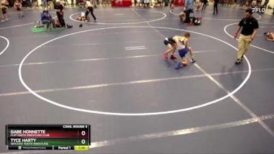 86 lbs Cons. Round 5 - Tyce Harty, Wayzata Youth Wrestling vs Gabe Honnette, Flat Earth Wrestling Club