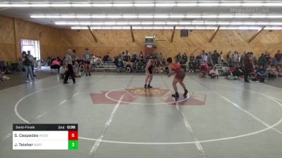 177 lbs Semifinal - Sergio Cespedes, Woodbridge vs Jakob Teisher, Northumberland