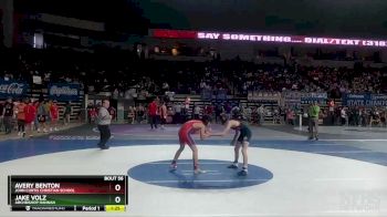 D 3 106 lbs Quarterfinal - Jake Volz, Archbishop Hannan vs Avery Benton, John Curtis Christian School