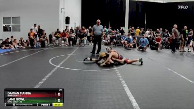 100 lbs Placement (4 Team) - Lane Gowl, Ohio Gold vs Damian Manna, Rebellion