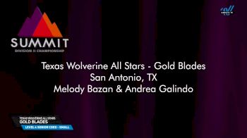 Texas Wolverine All Stars - Gold Blades [2025 L4 Senior Coed - Small Prelims] 2025 The D2 Summit