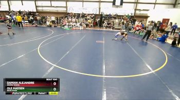 52 lbs Champ. Round 1 - Ole Madsen, Bear River vs Damian Alejandre, Ogden Tigers