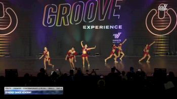 Synergy Dance Academy [2025 Youth - Premier - Contemporary/Lyrical - Small Day 2] 2025 Encore Grand Nationals