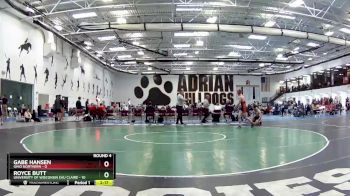 141 lbs Round 4 (6 Team) - Gabe Hansen, Ohio Northern vs Royce Butt, University Of Wisconsin Eau Claire