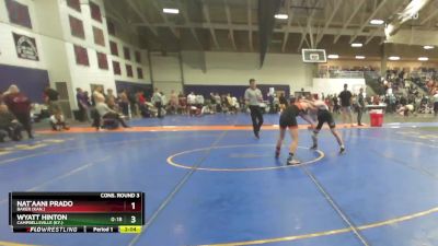 133 lbs Cons. Round 3 - Nat`aani Prado, Baker (Kan.) vs Wyatt Hinton, Campbellsville (Ky.)