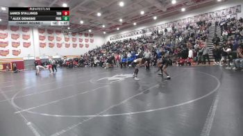 132 lbs Champ. Round 1 - Alex Denkins, Perrysburg vs James Stallings, Trinity