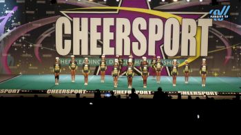 Cheer Nation Athletics - Platinum [2025 L3 Senior Coed - D2 - Small - B Day 3] 2025 CHEERSPORT National All Star Cheerleading Championship