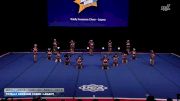 Totally Awesome Cheer - Legacy [2026 L1 Junior - Flex - D2 - Small Day 2] 2026 UCA & UDA All Star Nationals