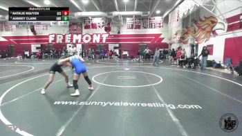 100 lbs Semifinal - Aubrey Clark, Grace M Davis vs Natalie Nguyen, Santa Clara Senior