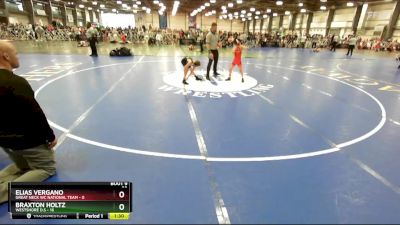 60 lbs Rd# 6- 9:00am Saturday Final Pool - Elias Vergano, Great Neck WC National Team vs Braxton Holtz, Westshore D.S