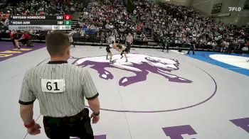 4A 106 lbs Quarterfinal - Noah Ahn, Timpanogos vs Brydan Horrocks, Summit Academy