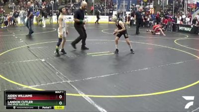 67 lbs Champ. Round 1 - Landon Cutler, Pine River Youth WC vs Aiden Williams, Holt WC
