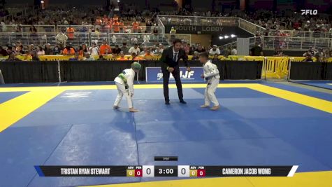 Tristan Ryan Stewart vs Cameron Jacob Wong 2025 Pan Kids Jiu-Jitsu IBJJF Championship