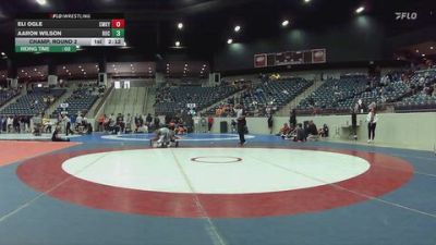 133 lbs Champ. Round 2 - Aaron Wilson, Rochester University vs Eli Ogle, CumberlandKY