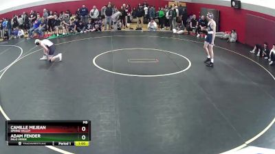 106 lbs Cons. Round 2 - Camille Mejean, Spring Valley vs Adam Fender, Palo Verde