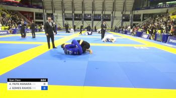 ALEXANDRE PAPA MANARA vs JANSEN GOMES RAMOS 2024 World Jiu-Jitsu IBJJF Championship