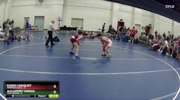 110 lbs Round 5 (6 Team) - Kaden Lindquist, Minnesota Gold vs Alejandro Vargas, Team Oregon