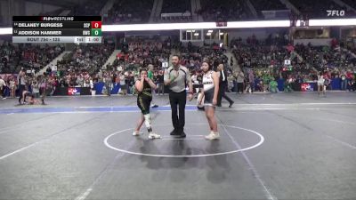 125 lbs Cons. Round 1 - Delaney Burgess, South Central Punisher vs Addison Hammer, Bobcat Wrestling Club