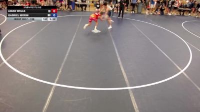 138 lbs Cons. Round 4 - Aidan Wells, SD vs Gabriel Morin, MN