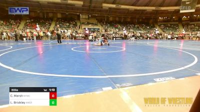 80 lbs Round Of 64 - Carter Marsh, Newcastle Youth Wrestling vs Logan Brickley, American Dream