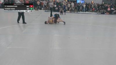 126 lbs Champ. Rd Of 64 - Tanner Reed, MWC vs Ty Goodnature, MN Elite