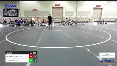 97 lbs Rr Rnd 5 - Mack Mesenbrink, Askren Wrestling Academy - (C) vs Logan Crandall, Askren Wrestling Academy - (B)