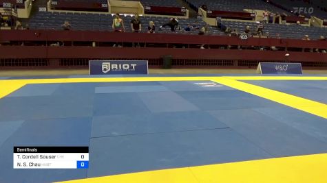 Terrance Cordell Souser vs Nathan S. Chau 2024 Pan IBJJF Jiu-Jitsu No-Gi Championship