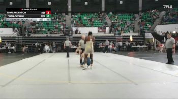 6A 190 lbs Champ. Round 2 - Ben Cataldi, Buckhorn vs King Anderson, Pinson Valley