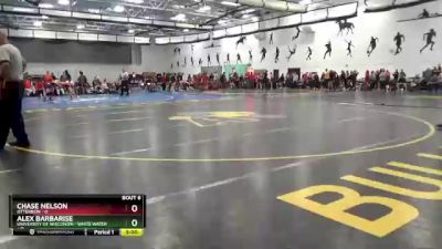 125 lbs Round 2 (8 Team) - Chase Nelson, Otterbein vs Alex Barbarise, University Of Wisconsin - White Water