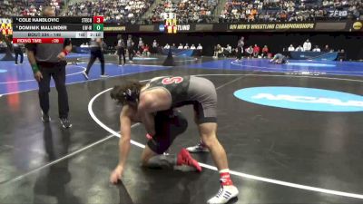 149 lbs Quarterfinal - Dominik Mallinder, Wis.-Whitewater vs Cole Handlovic, Stevens