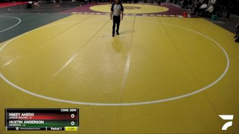 45 lbs Semis & 1st Wrestleback (8 Team) - Mikey Ahedo, LPGE/B Wolves vs Huxtin Anderson, Minneota