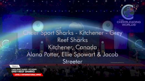 Cheer Sport Sharks - Kitchener - Grey Reef Sharks [2025 L5 International Open Finals] 2025 The Cheerleading Worlds