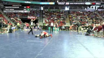 1A-144 lbs Cons. Round 4 - Tully Wood, Wayne, Corydon vs Braxton Bormann, Central Community, Elkader