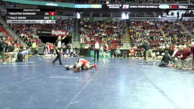 1A-144 lbs Cons. Round 4 - Tully Wood, Wayne, Corydon vs Braxton Bormann, Central Community, Elkader