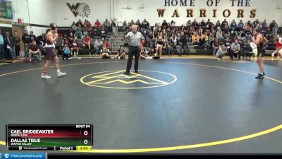 145 lbs Semifinal - Cael Bridgewater, North Linn vs Dallas Tisue, Wapsie Valley