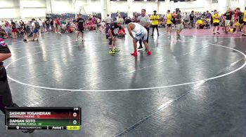 215 lbs Quarterfinals (8 Team) - Damian Soto, Eagle Empire Purple vs Sashuin Yogandran, Naperville Phoenix