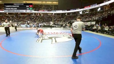 II-131 lbs Champ. Round 2 - Devin Pellizzi, Cold Spring Harbor vs Landyn Shaffer, Deposit-Hancock