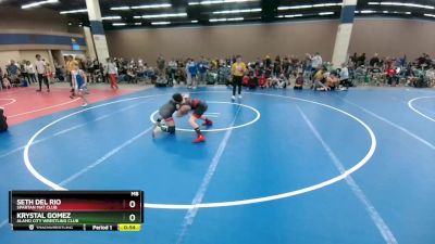 114 lbs Cons. Round 2 - Seth Del Rio, Spartan Mat Club vs Krystal Gomez, Alamo City Wrestling Club