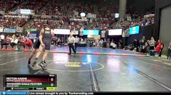 AA - 205 lbs Cons. Round 3 - Peyton Harms, Billings Senior High School vs Tayshawn Eagle Feathers, Billings West